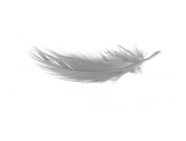 Kontakt Claudia Abold Karlsruhe