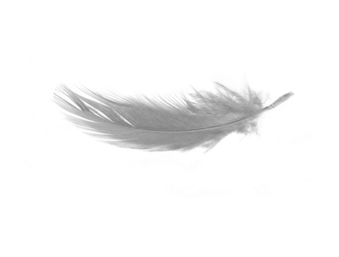 Hautsprechstunde Claudia Abold Beratung