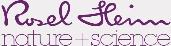 Hautpflege Rosel Heim