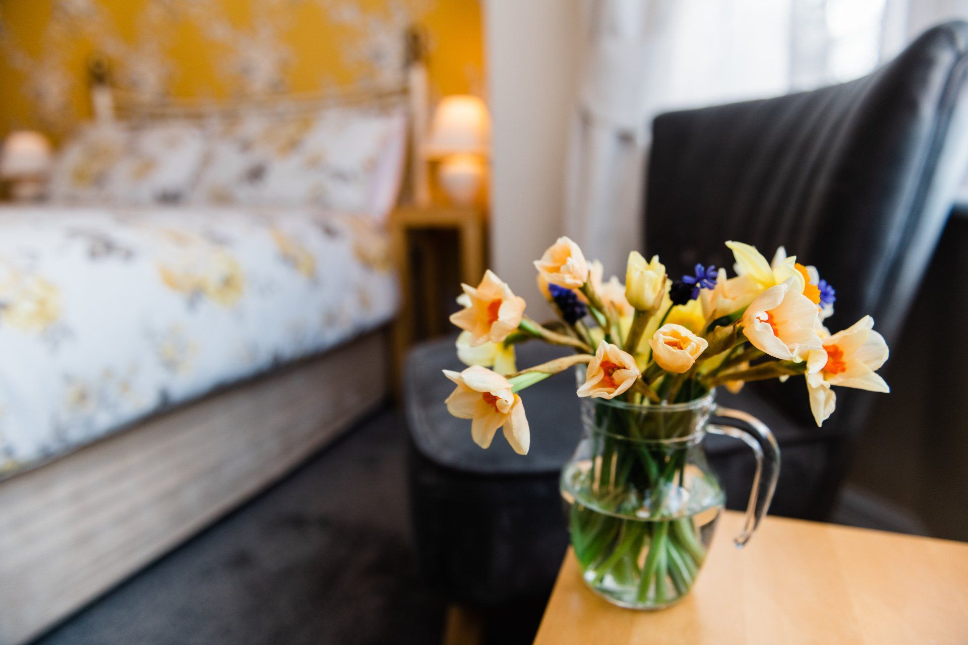 Spring time in Scarborough sees daffodils growing everywhere