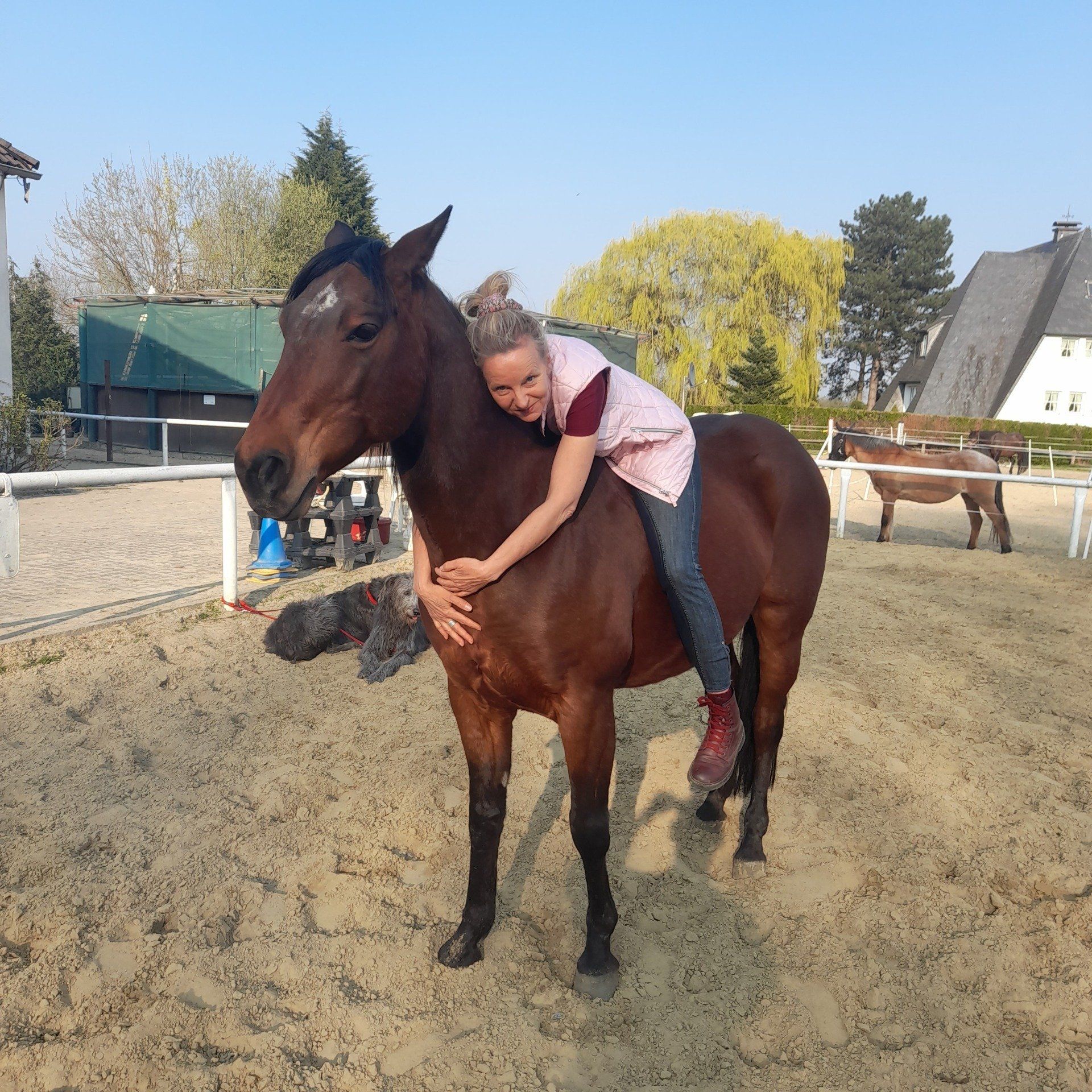 Herzöffnung nach Trauma