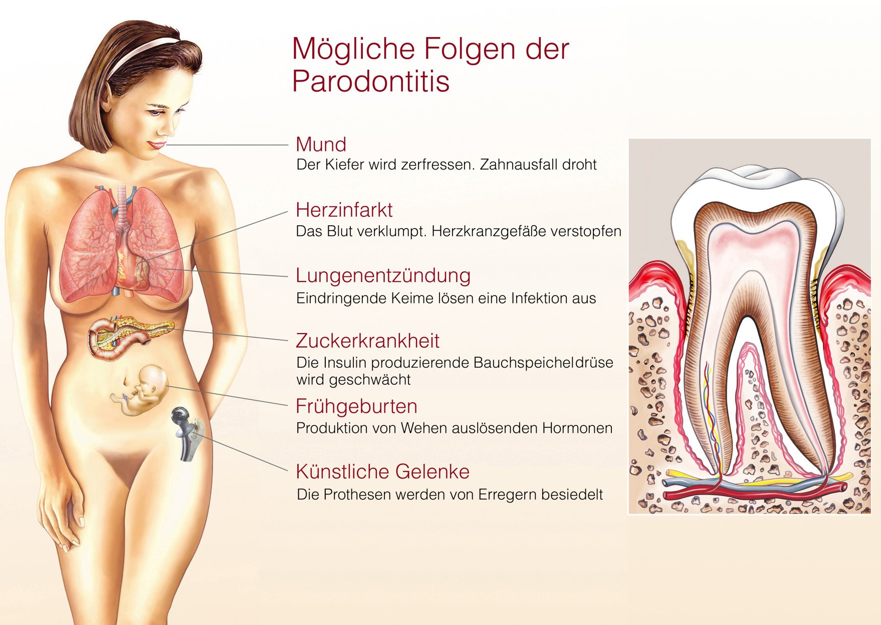 Endodontologie