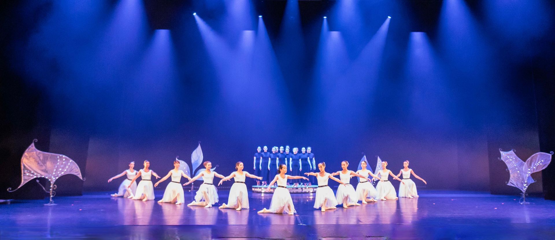 Stages de danse Antibes
