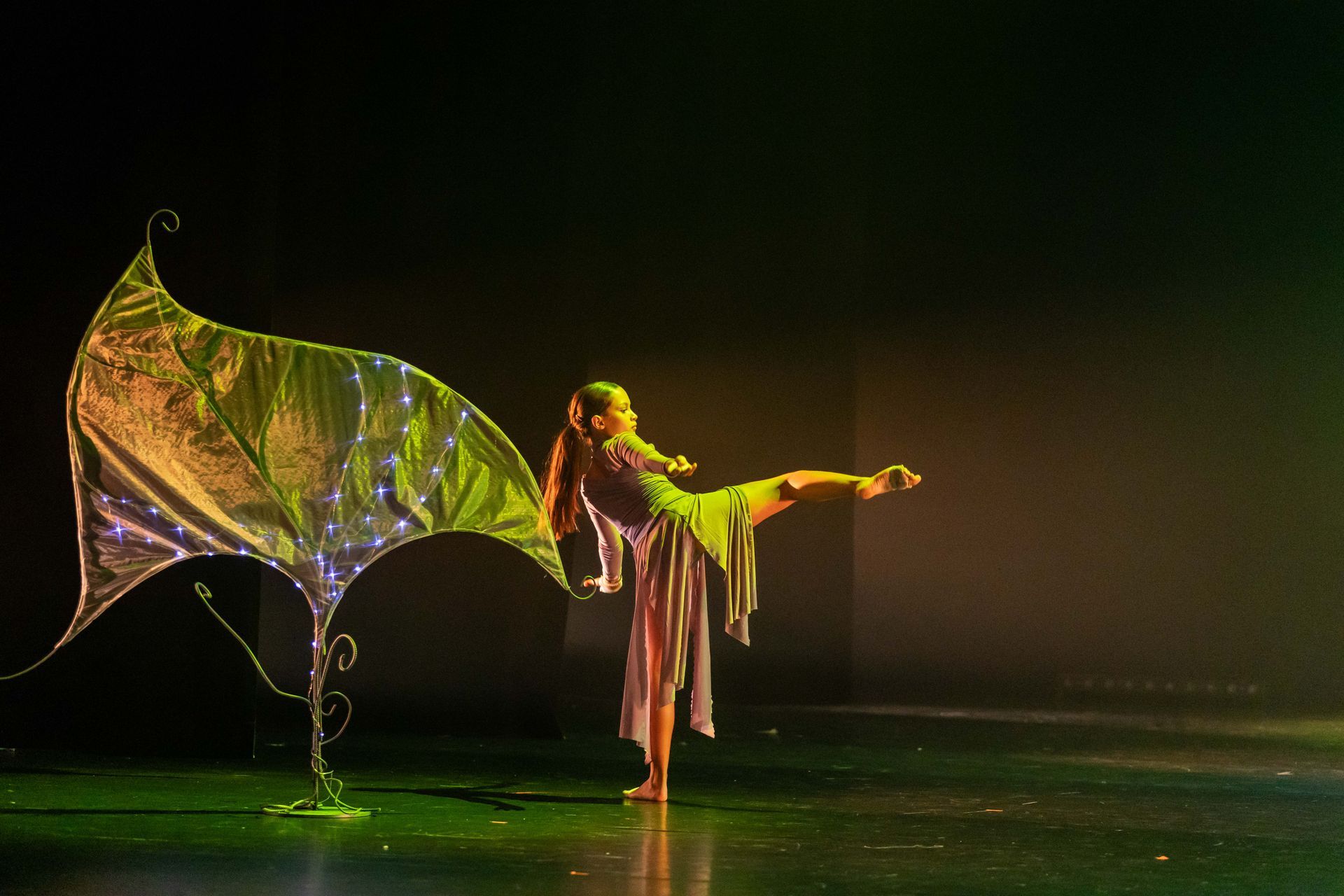 ecole de danse professionnel