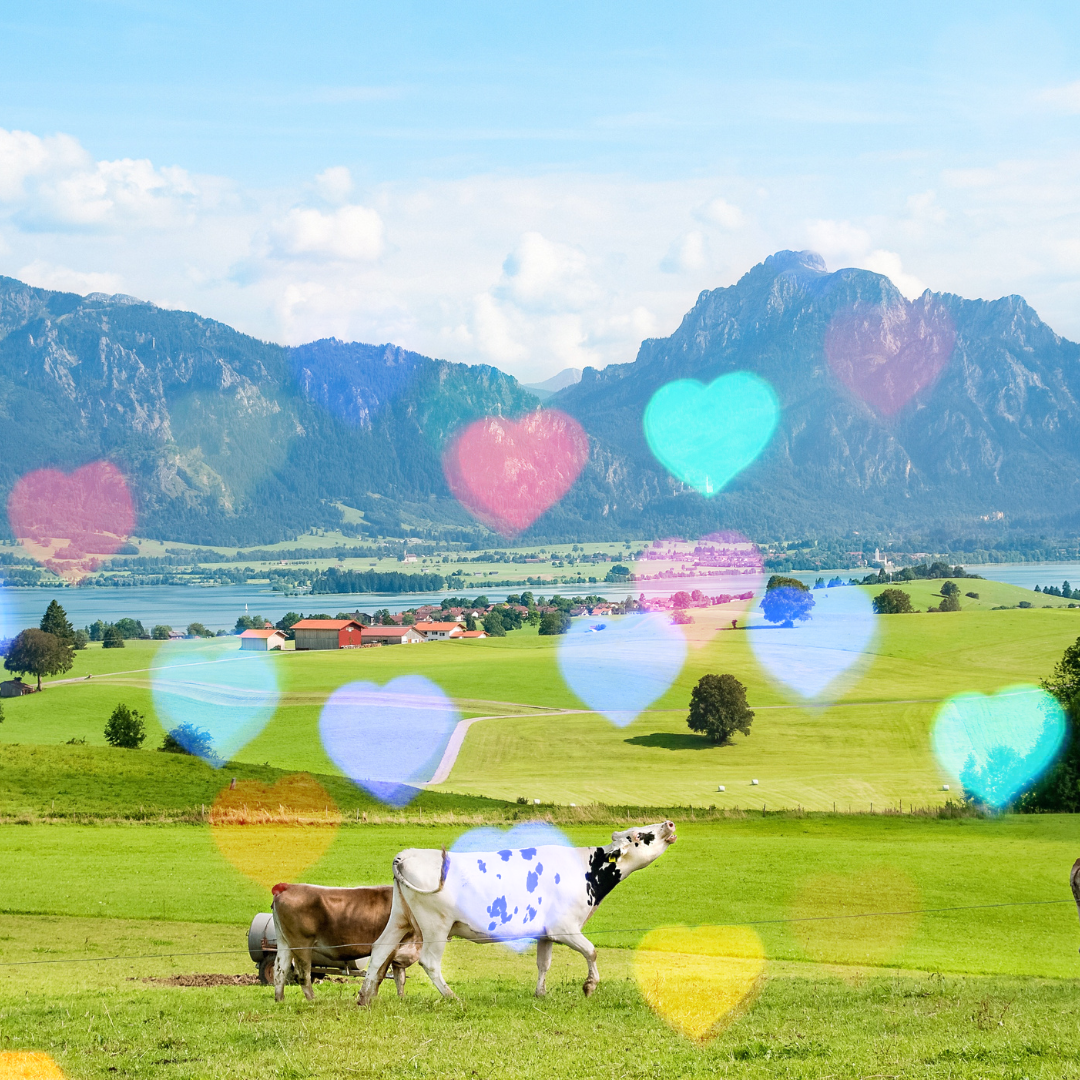 Das Allgäu - immer eine Reise wert :-) Standorte Allgäu Sexualtherapie Paartherapie Katja Peters