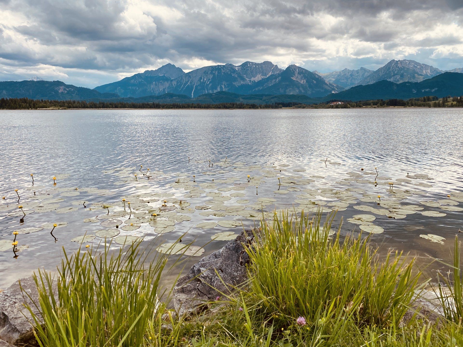 Hopfensee, Bergblick, Allgäu, Seerosen, Himmel, Wolken, Alpen