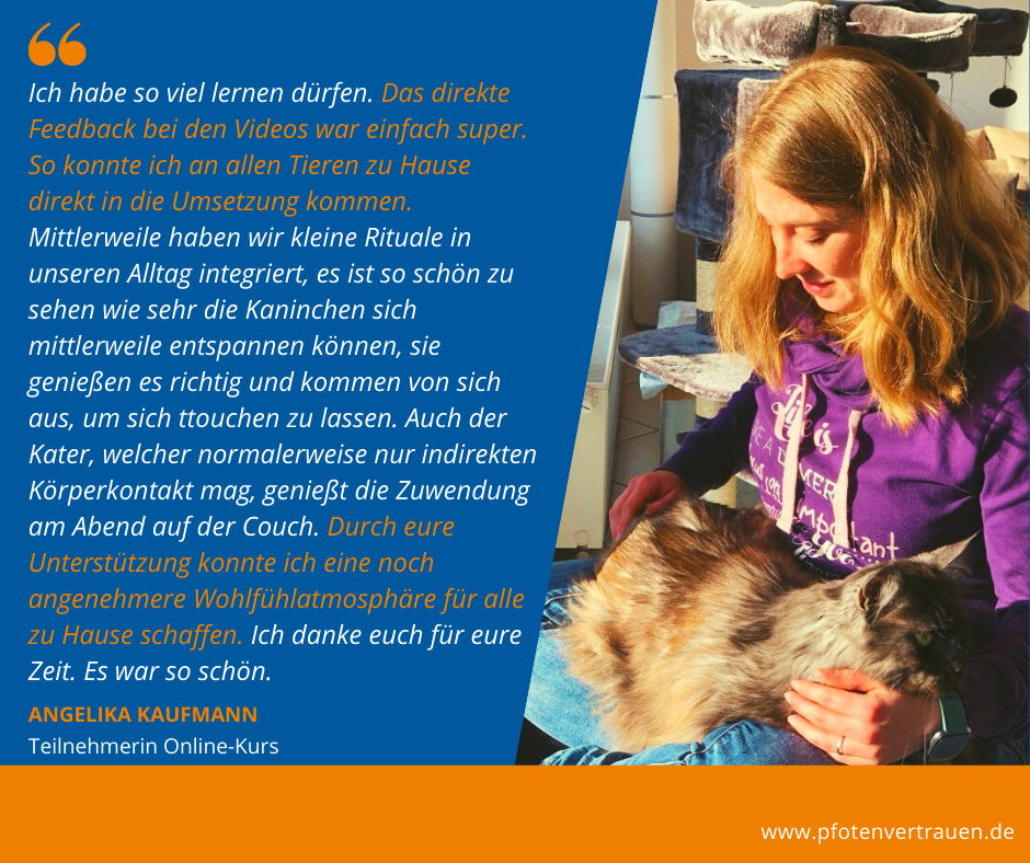 Angelika ttoucht ihren Kater Kundenstimme mit Foto