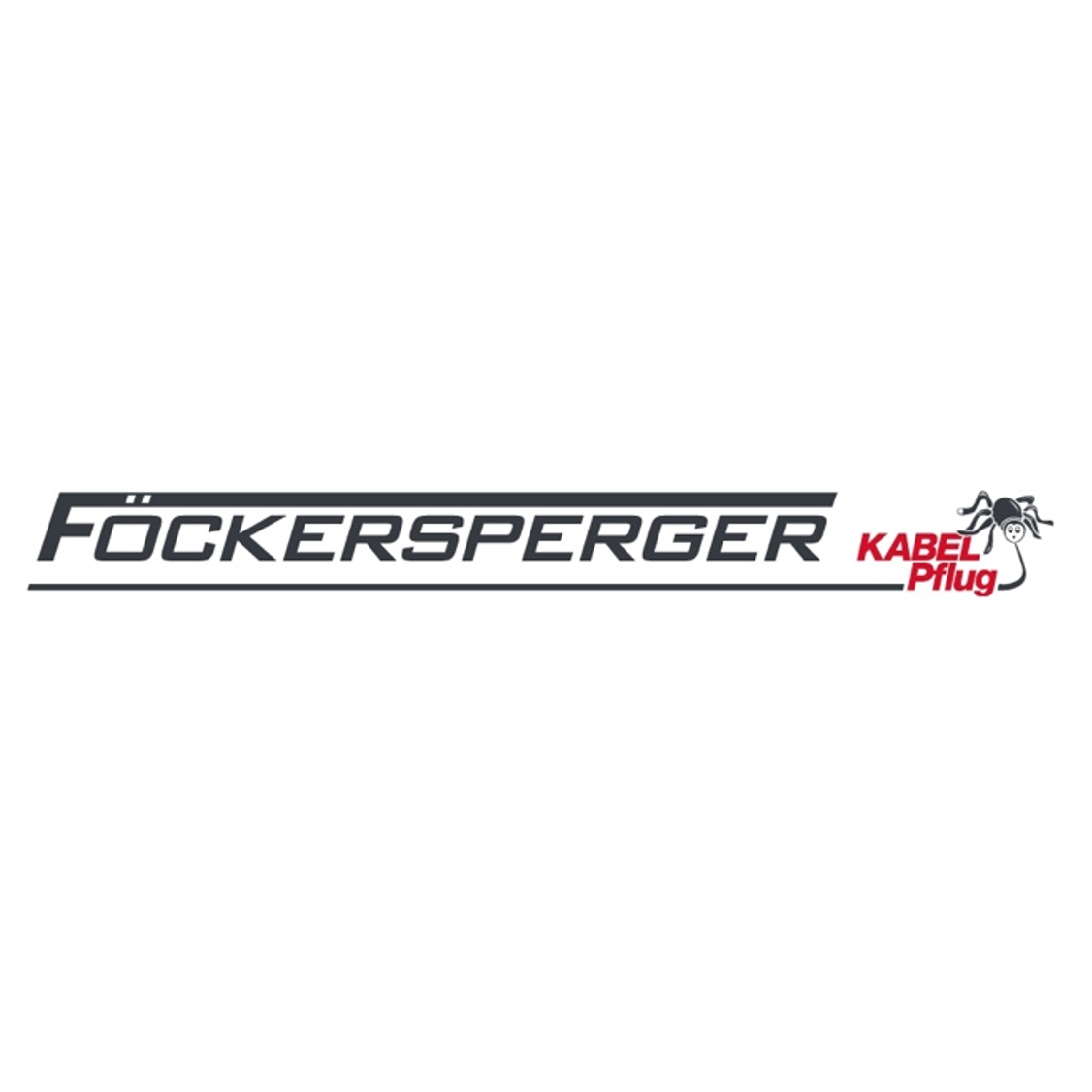 Logo Föckersperger / Kunde prinz management consulting GmbH