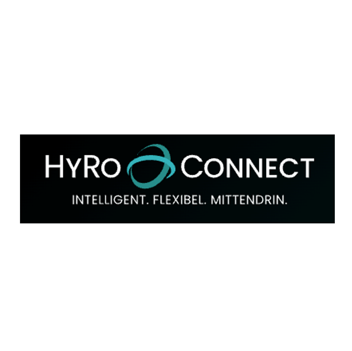 Logo HyRo Connect / Kunde prinz management consulting GmbH