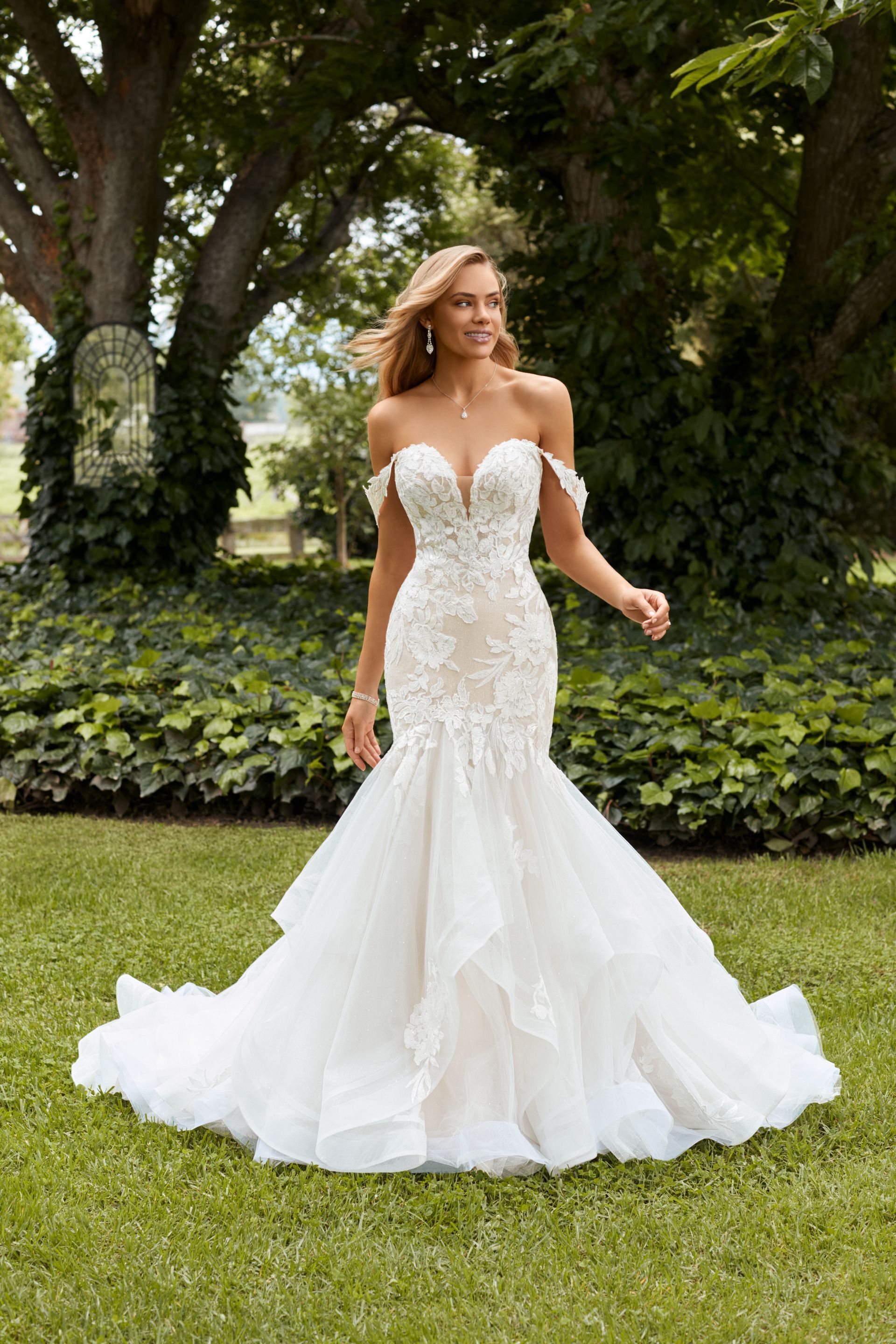 sophia tolli indiana