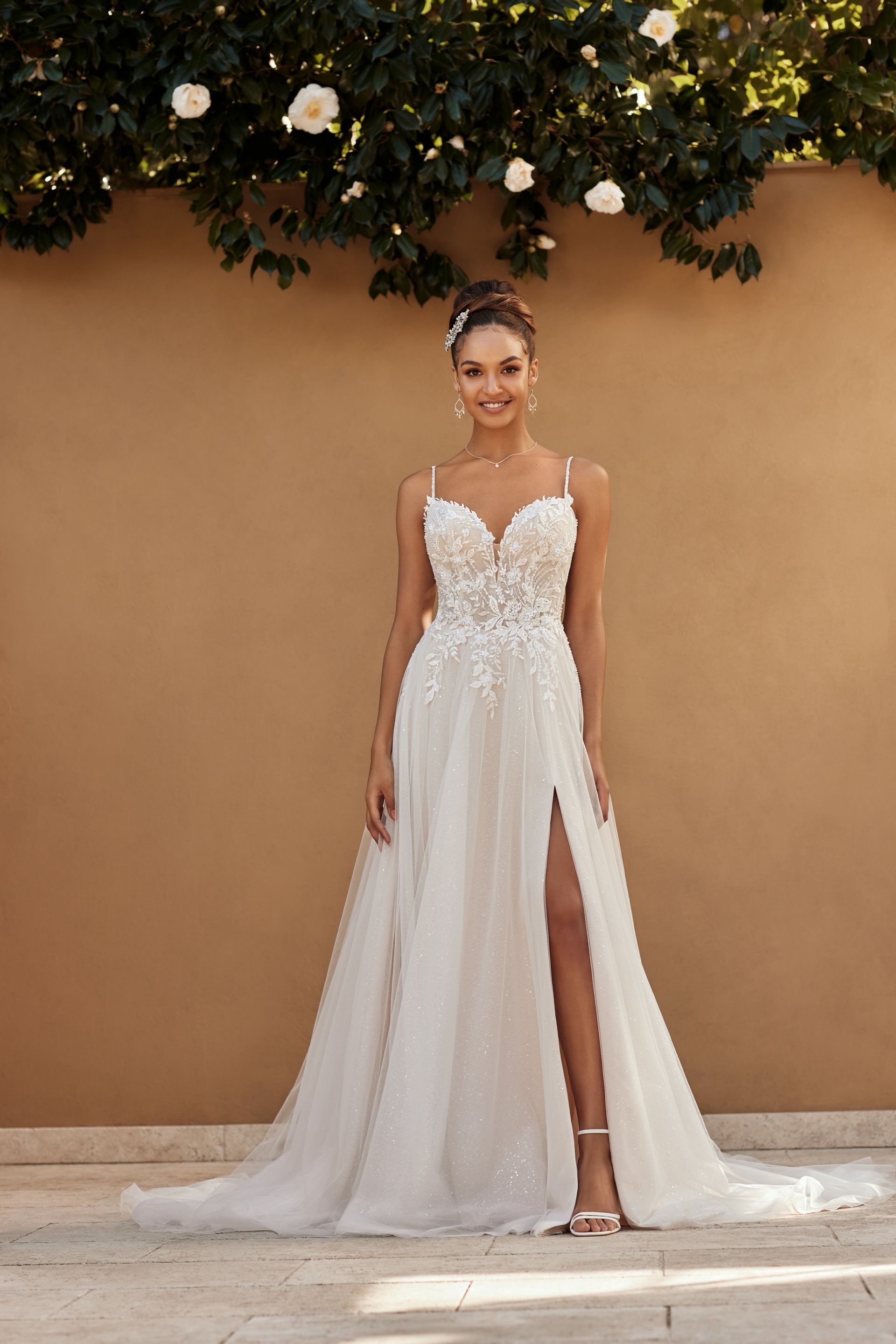 sophia tolli casia