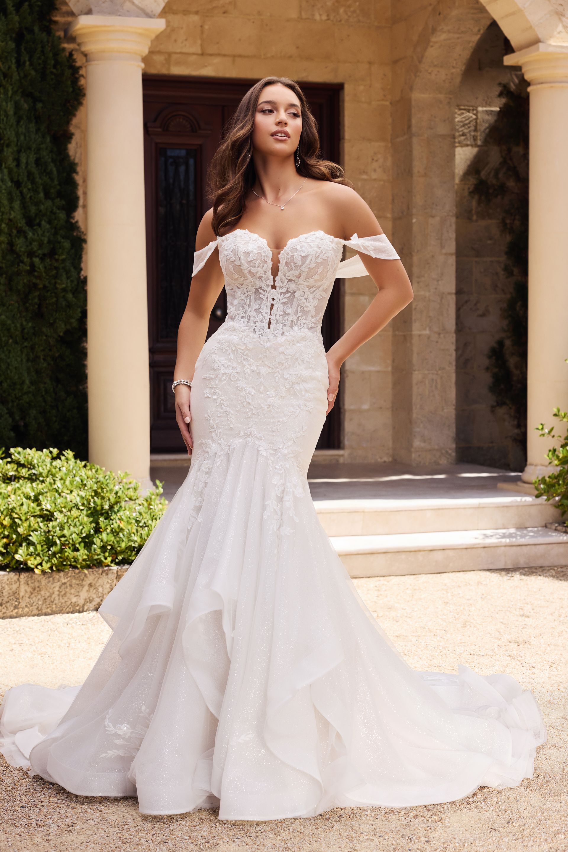 SOPHIA TOLLI ELVIE