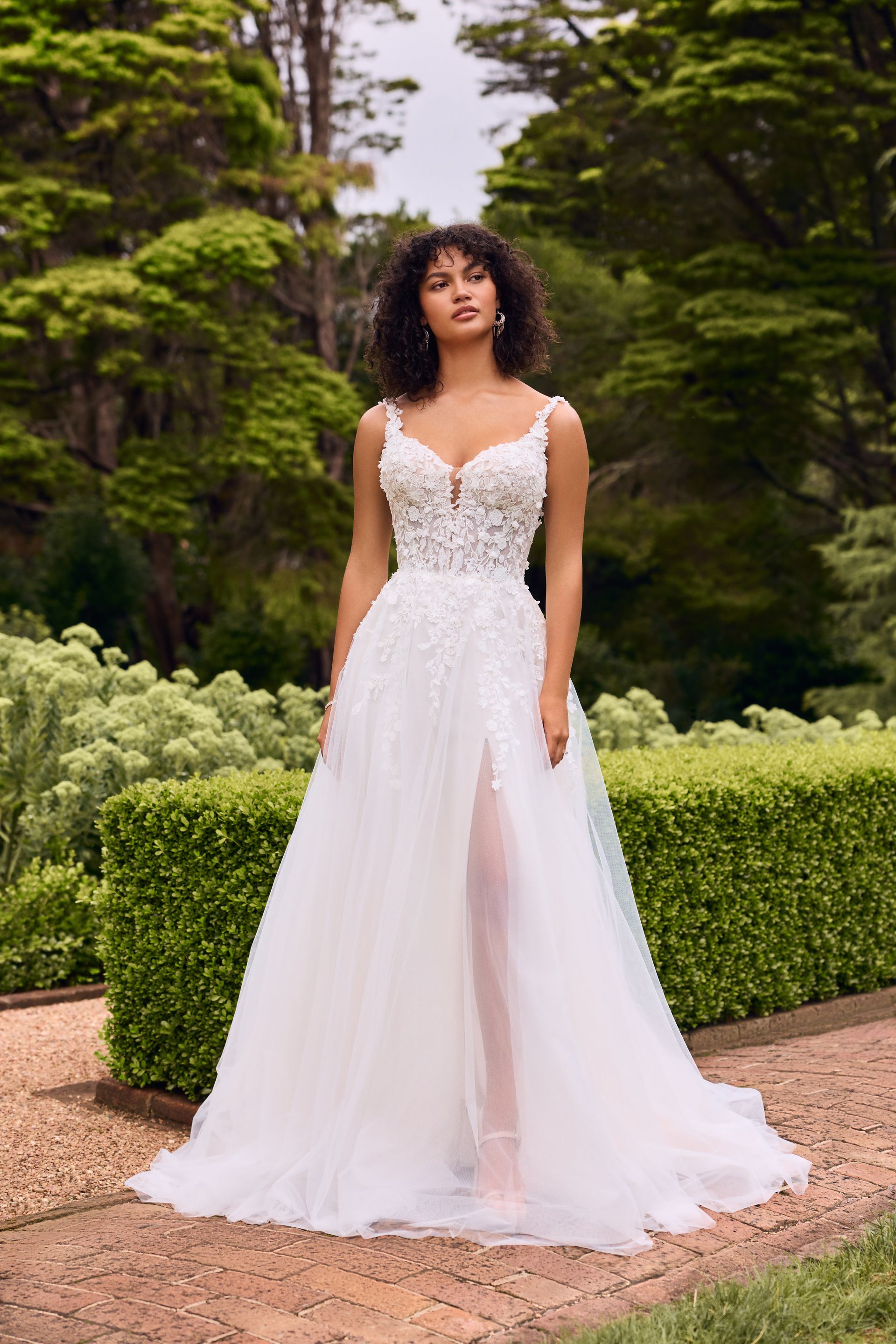 SOPHIA TOLLI DAPHNE