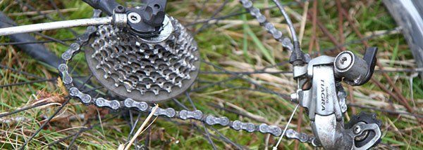 Importance of having your bike serviced regularly