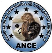 <img src=”Logo ANCE.jpg” alt=”Rundes ANCE-Logo zeigt drei Neufundlaender”>