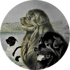 <img src=”NCE-Logo.jpg” alt=”Logo des Neufundländer Clubs für Europa NCE mit drei Hunden u nterschiedlicher Fellfarbe”>