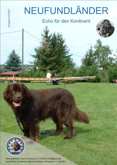 <img src=”Cover-Vereinszeitung-Neufundlaenderclub.png” alt=”3 schwarze Neufundländer schwimmen auf einer Luftmatratze auf dem See”>