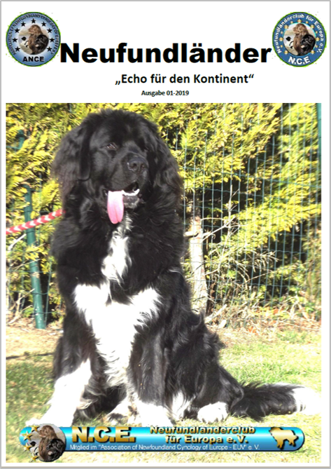 <img src=”Cover-Vereinszeitung-Neufundlaenderclub.png” alt=”schwarzer-weißer Neufundländer sitzt nach dem Spielen auf der Wiese”>