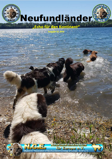 <img src=”Cover-Vereinszeitung-Neufundlaenderclub.png” alt=”Neufundländer-Meute stürzt sich in die Fluten”>