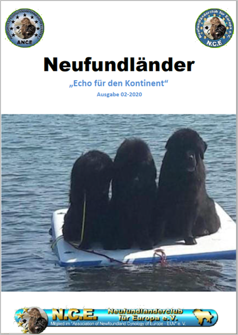 <img src=”Cover-Vereinszeitung-Neufundlaenderclub.png” alt=”3 schwarze Neufundländer schwimmen auf einer Luftmatratze auf dem See”>