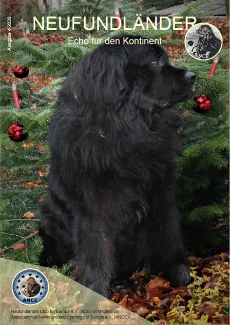 <img src=”Cover-Vereinszeitung-Neufundlaenderclub.png” alt=”schwarzer Neufundländer sitzt vor Christbaum”>