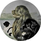 <img src=”Logo ANCE.jpg” alt=”Rundes NCE-Logo zeigt drei Neufundlaender”>