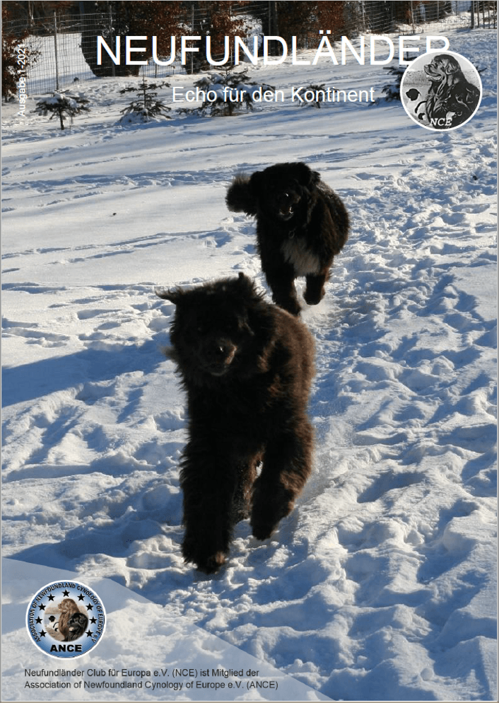 Neufundlaender-NCE-Vereinszeitung_Ausgabe-01-2021