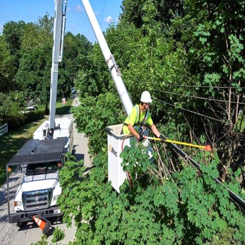 Forestry - Mapartex.com