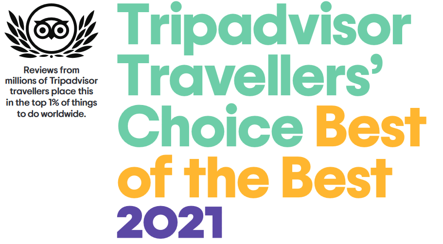 SDS STADTFÜHRUNGEN hat 2021 den Award »Best of the Best« (TripAdvisor) erhalten: Diese Auszeichnung erhalten nur die Top 1 % aller Unternehmen weltweit. SDS STADTFÜHRUNGEN hat 2021 den Award »Best of the Best« (TripAdvisor) erhalten: Diese Auszeichnung erhalten nur die Top 1 % aller Unternehmen weltweit.