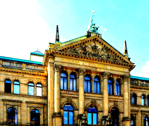 Guided City Tours in BONN: Info & Online-Booking SDS STADTFÜHRUNGEN Sascha Seubert in BONN: Info-Übersicht & Online-Buchung