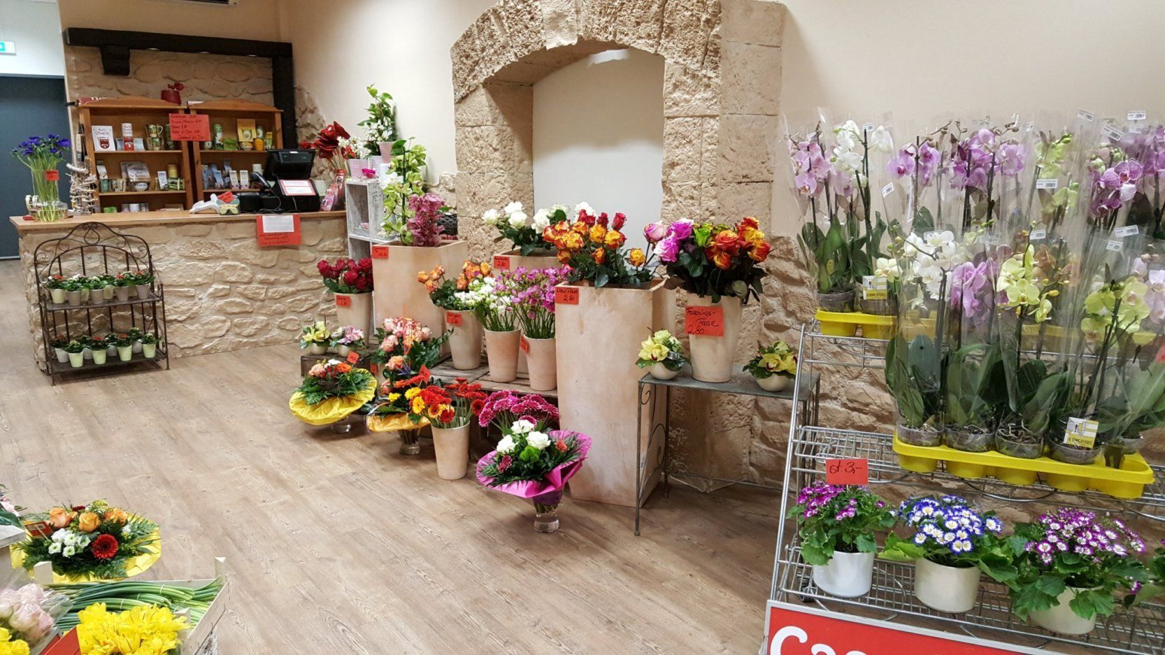 Casa Bella Rosa EGM Center Lechhausen im Kaufland Blumen