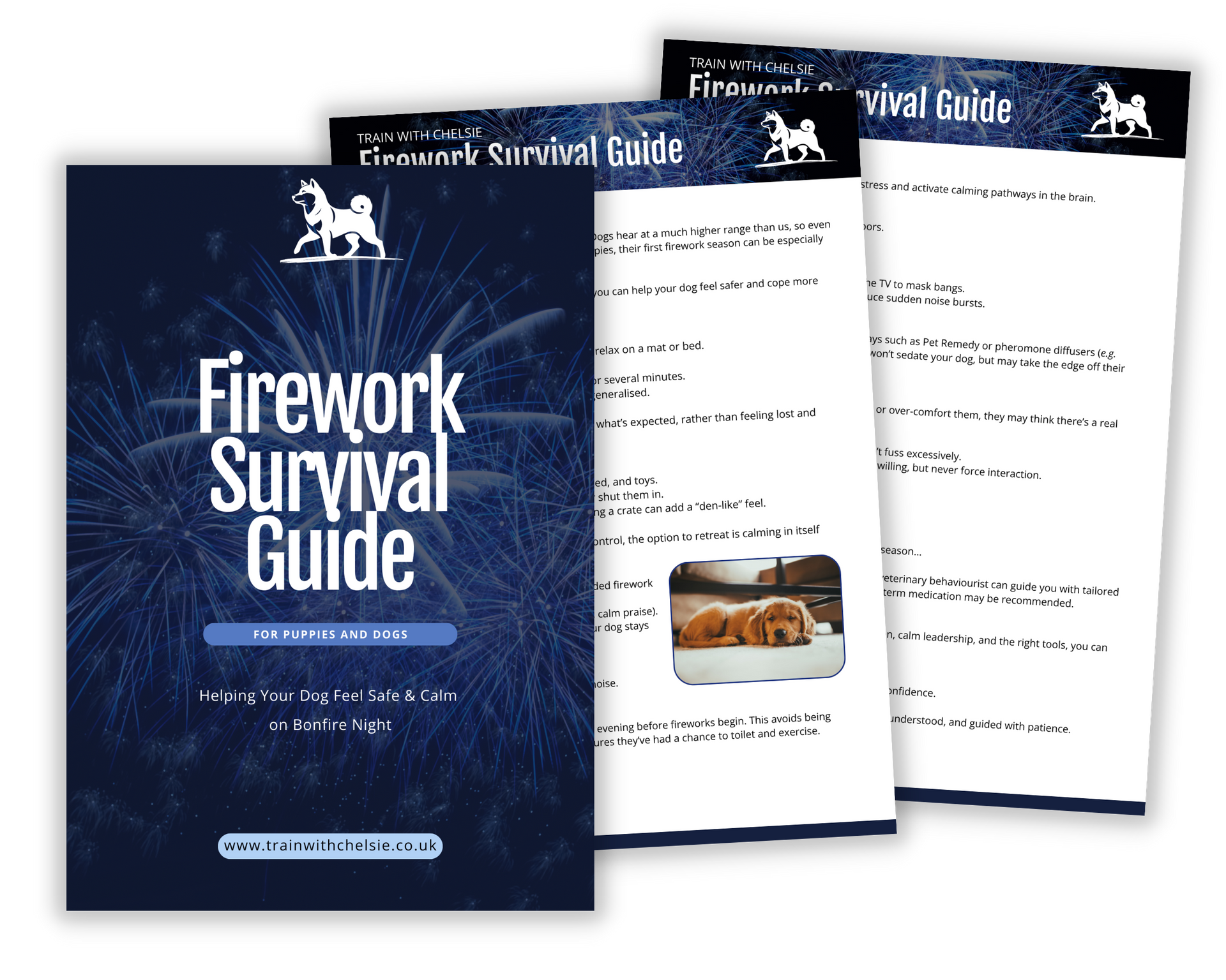 Dog classes in Tamworth