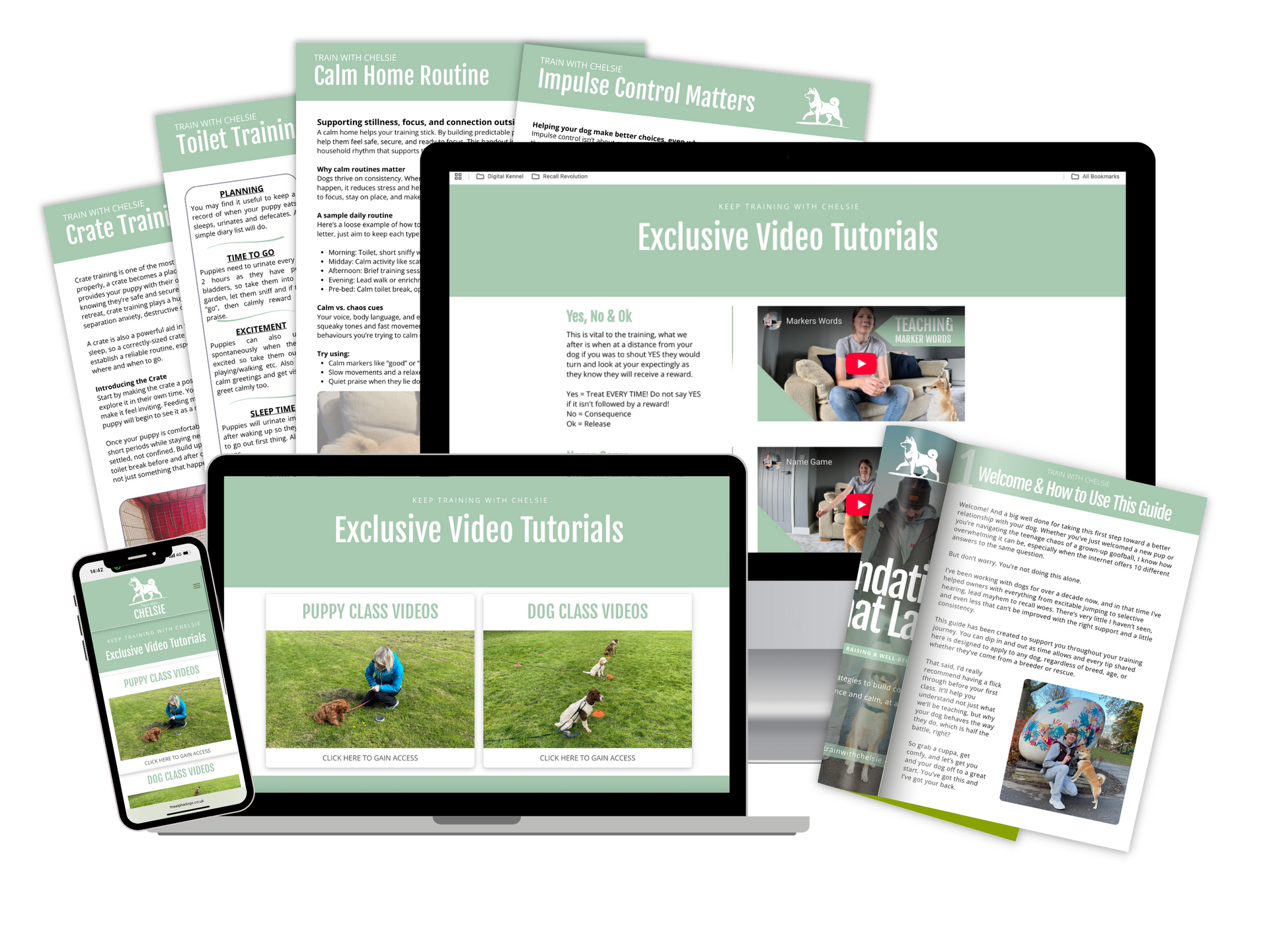 Dog training videos tamworth