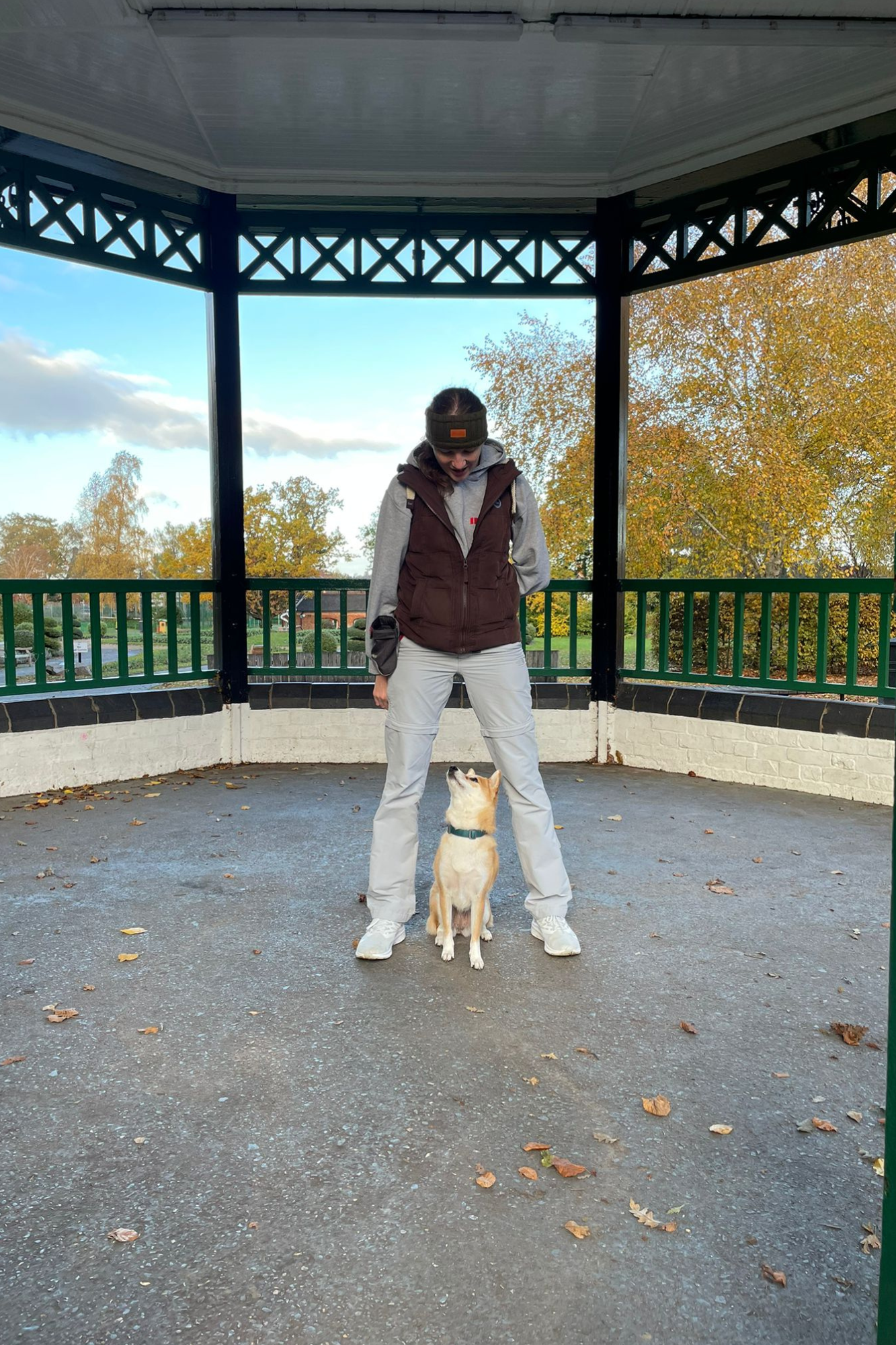 Training Dogs in Dosthill Tamworth
