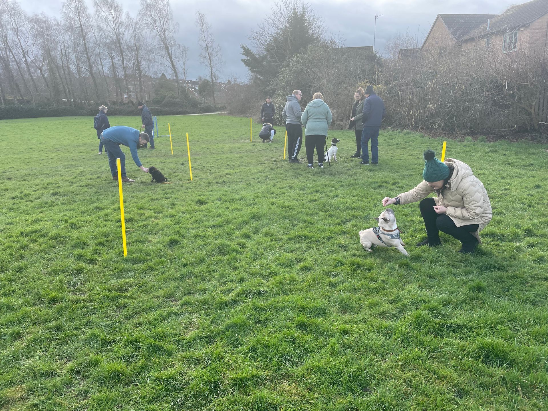 Beginner Obedience classes in Rugby