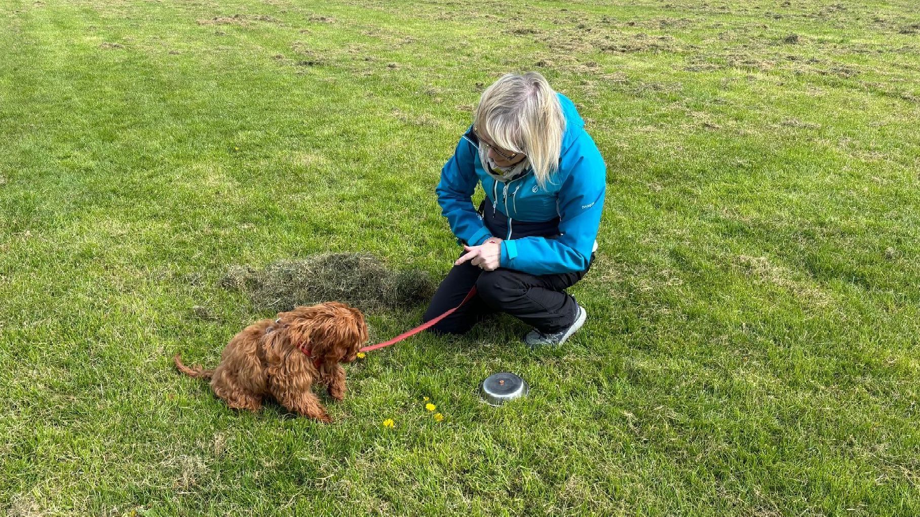 Puppy training classes in Tamworth