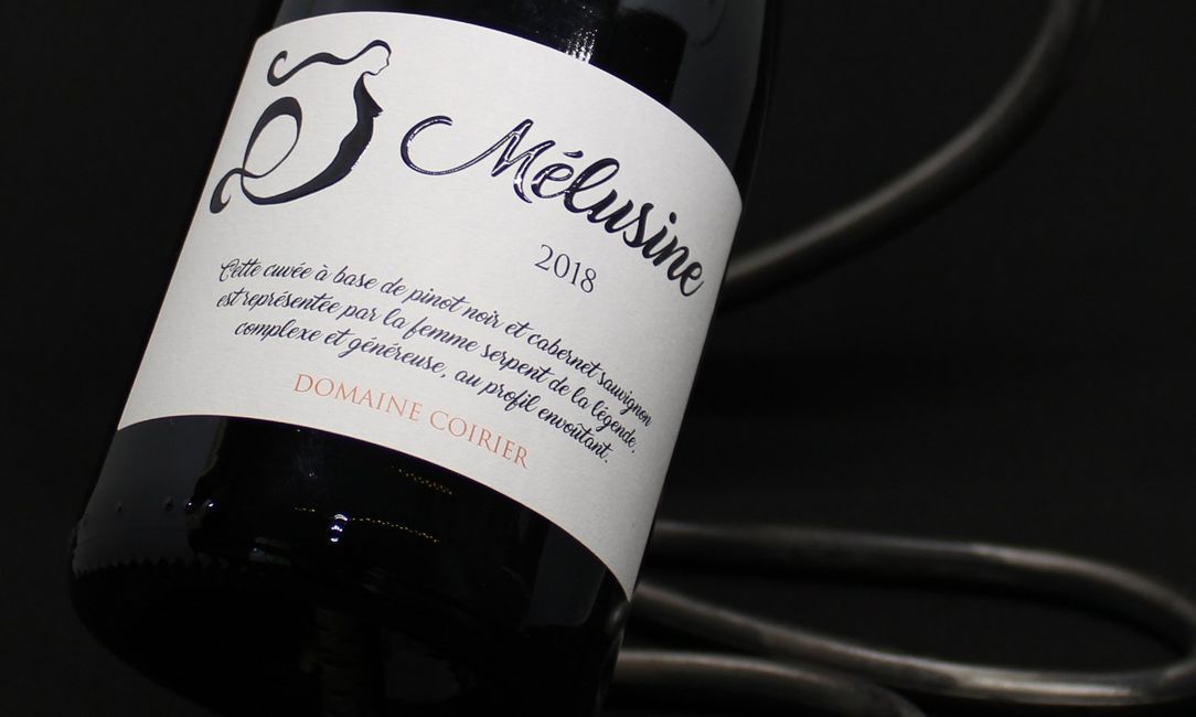 vin mélusine, explication des vins de pissotte du domaine coirier