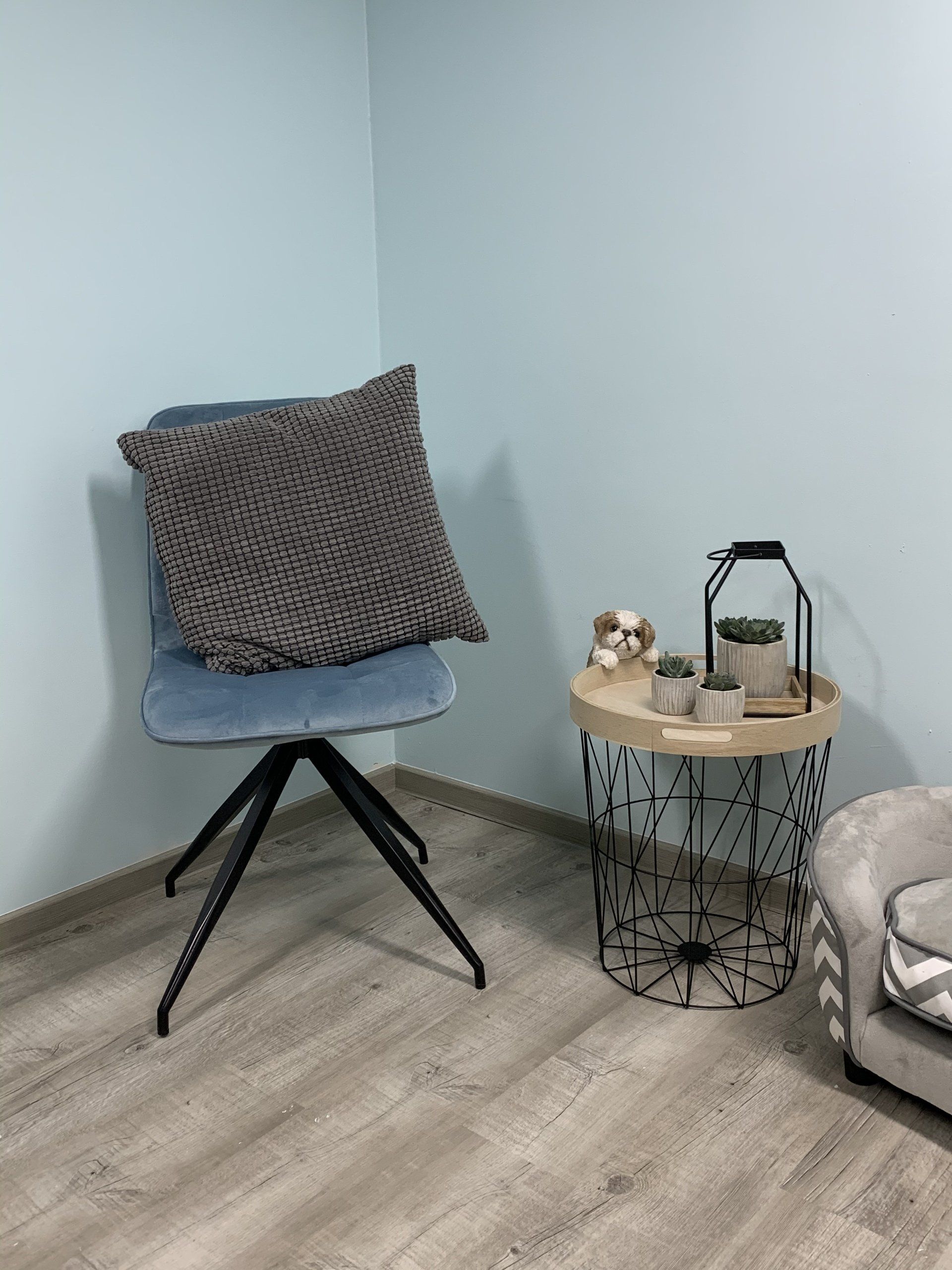 Hundefriseur Maximilian's Hundestübchen Hundefriseur Maximilian's Hundestübchen