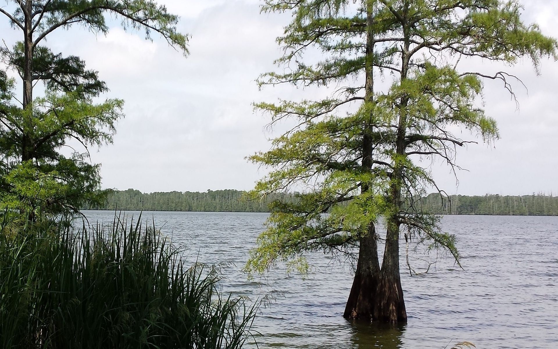 environmental integrity