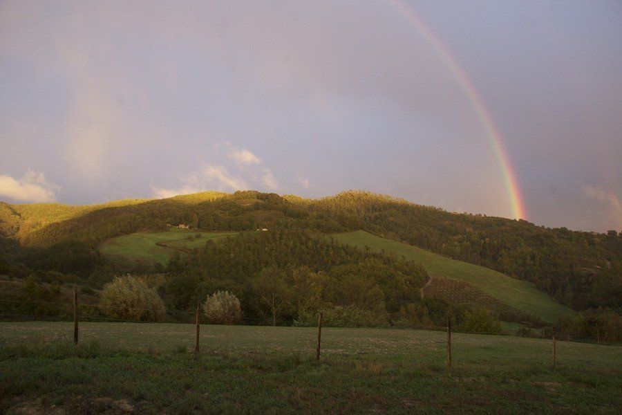 Agriturismo Il Moro: campagna circostante.