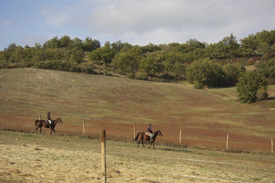 Agriturismo Il Moro: Trekking a cavallo.