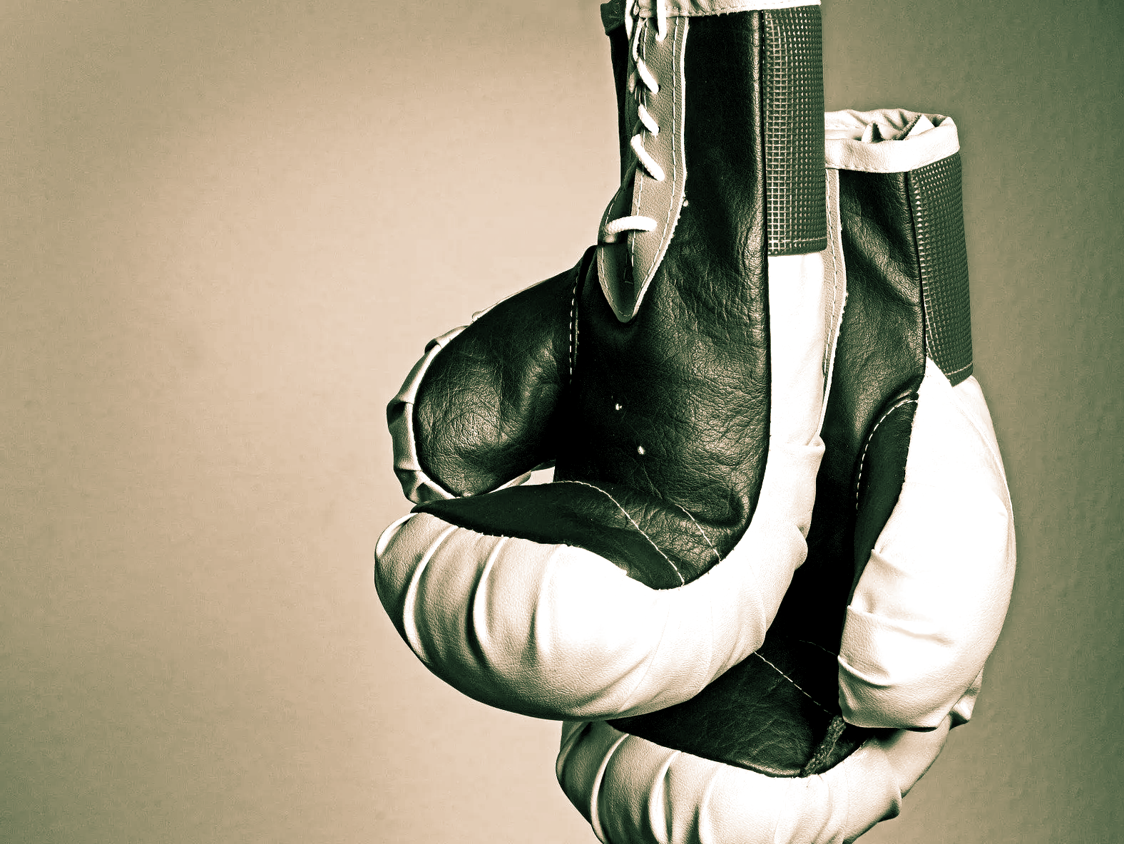 Boxhandschuhe Sparring kommt ursprünglich aus dem Boxsport