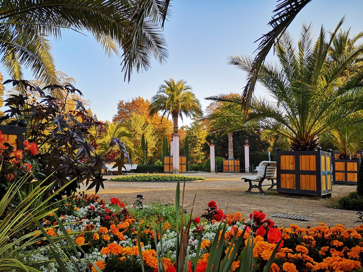 Kurpark Bad Pyrmont - Palmengarten