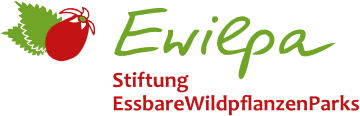 Logo Ewilpa Bad Pyrmont