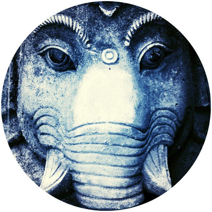 Yogazeit Neuss Preise Yoga Light Yoga Neuss Norf Allerheiligen Rosellen Rosellerheide Hoisten Schlicherum Düsseldorf Speck Wehl Grimlinghausen Uedesheim Üdesheim Gnadenthal Hatha Kundalini Ashtanga Yin Meditation Entspannung