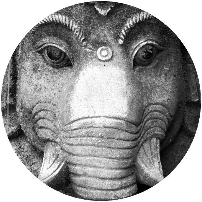 Yogazeit Neuss Preise Yoga Schnuppern Yoga Neuss Norf Allerheiligen Rosellen Rosellerheide Hoisten Schlicherum Düsseldorf Speck Wehl Grimlinghausen Uedesheim Üdesheim Gnadenthal Hatha Kundalini Ashtanga Yin Meditation Entspannung