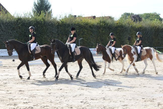 Dressurreiten
