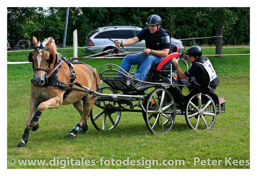 Pferd zieht Kutsche