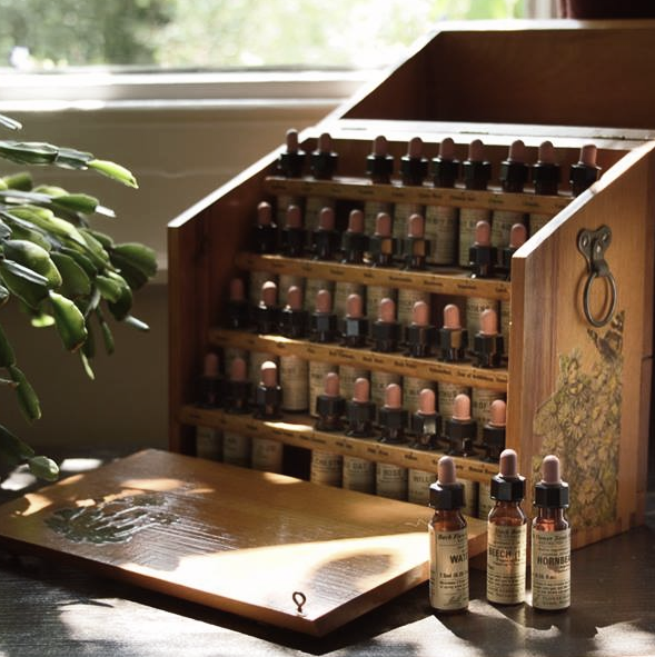 Conseil en Fleurs de Bach pour les personnes et les animaux