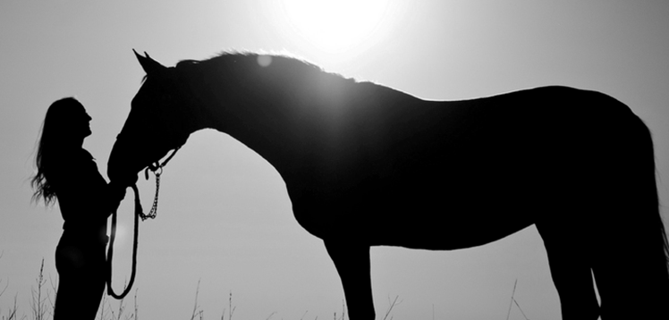 Séance Equicoaching